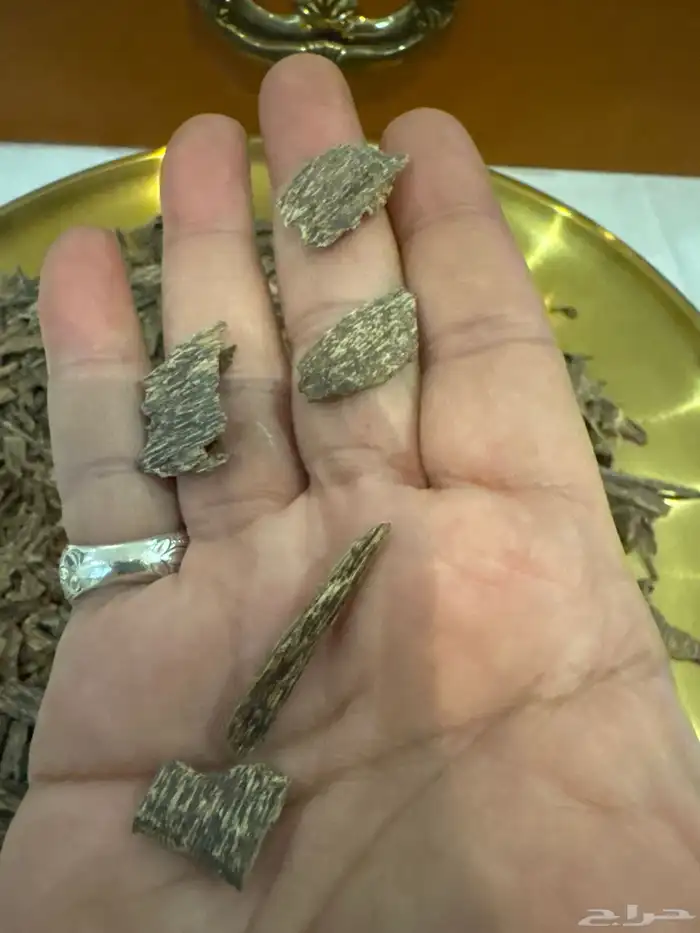 عود كاليمنتان بونتيانك جوده عاليه طبيعي 100   100 1