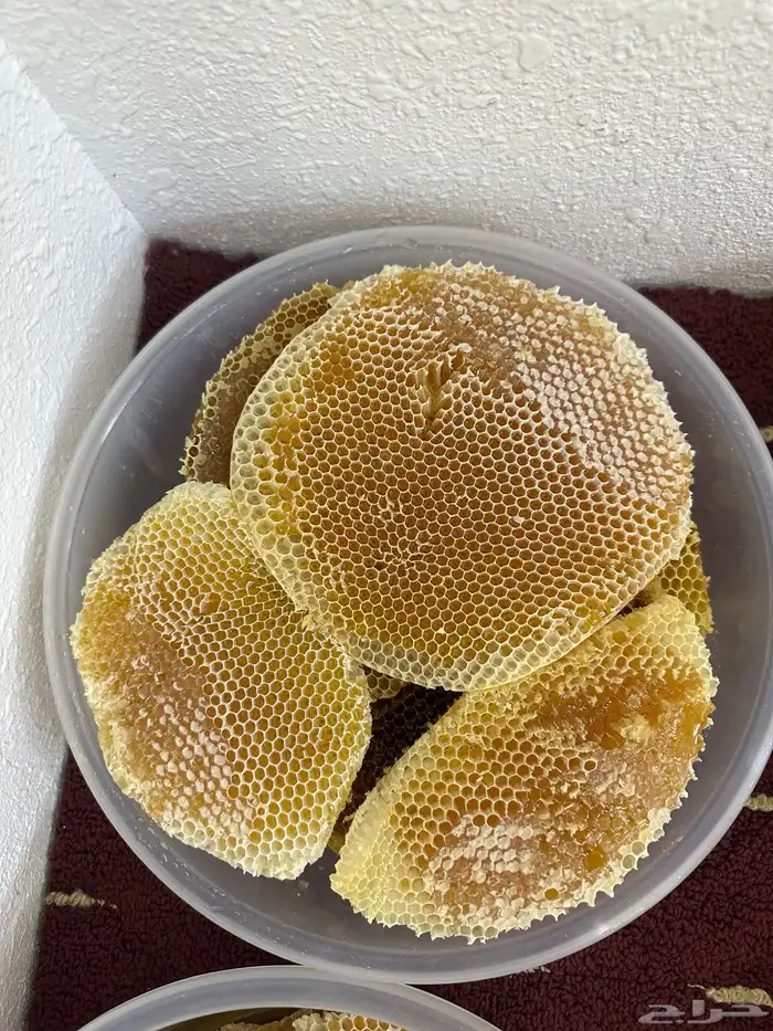 عسل سدر لهذا العام تاريخ1447 5 18 3