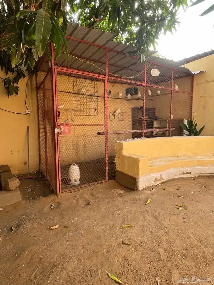 شبك قفص للبيع كيير 3