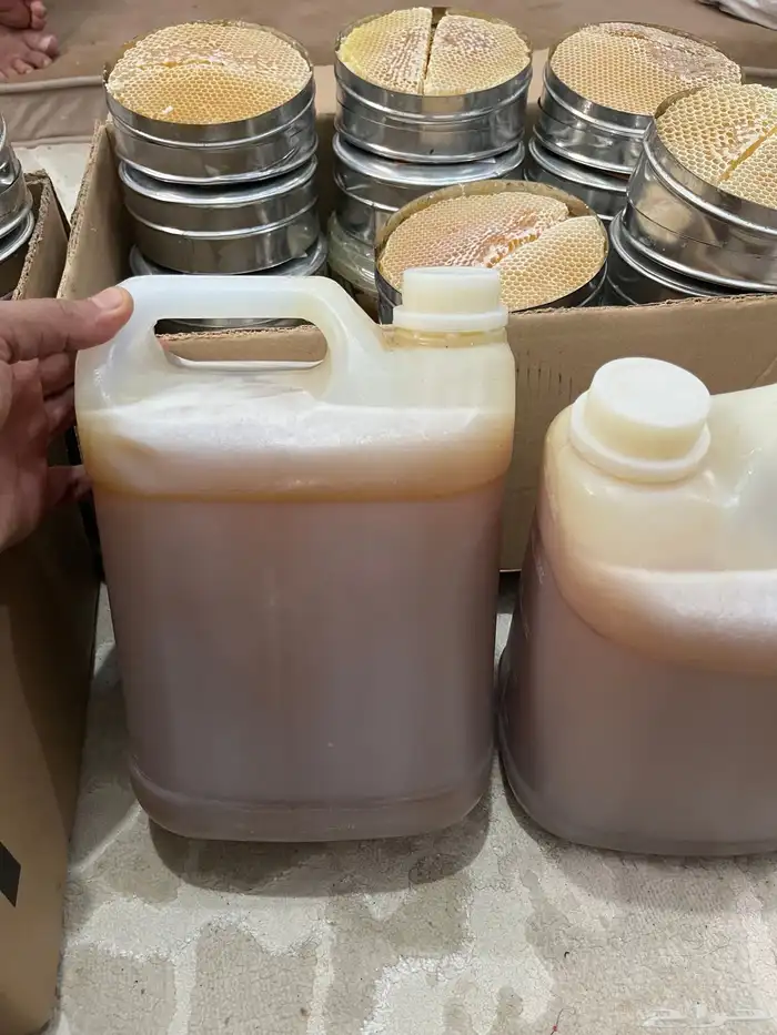 عسل سدر شبواني 6
