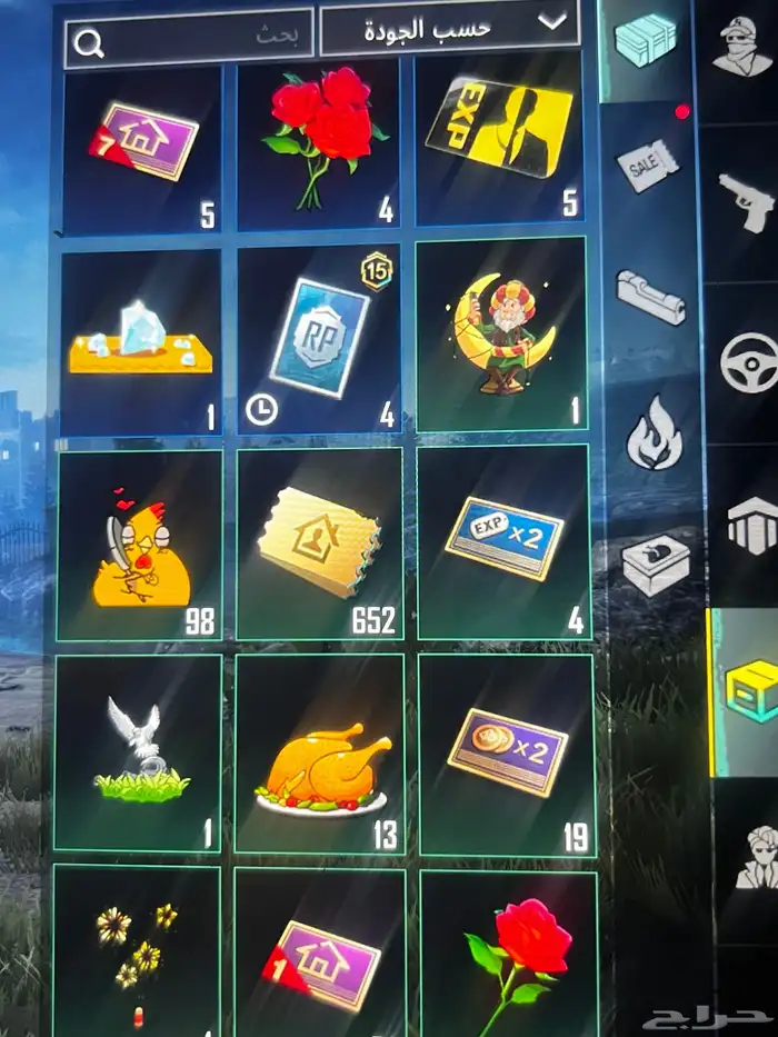 حساب ببجي للبيع 2