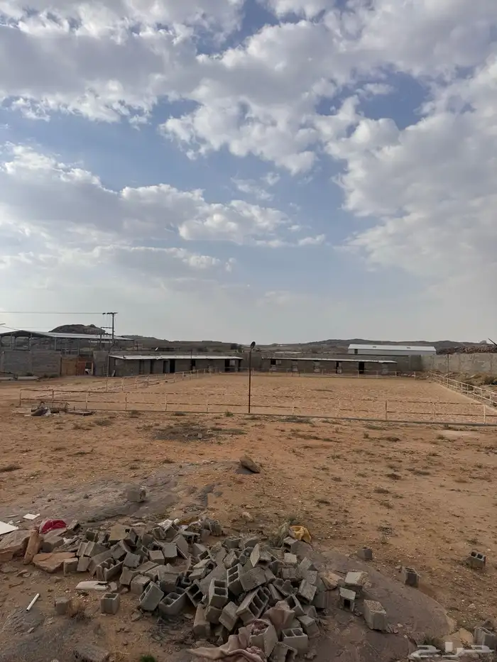 حوش م 7000 سكن 14غرفه صناعية الخميس للإيجار 1