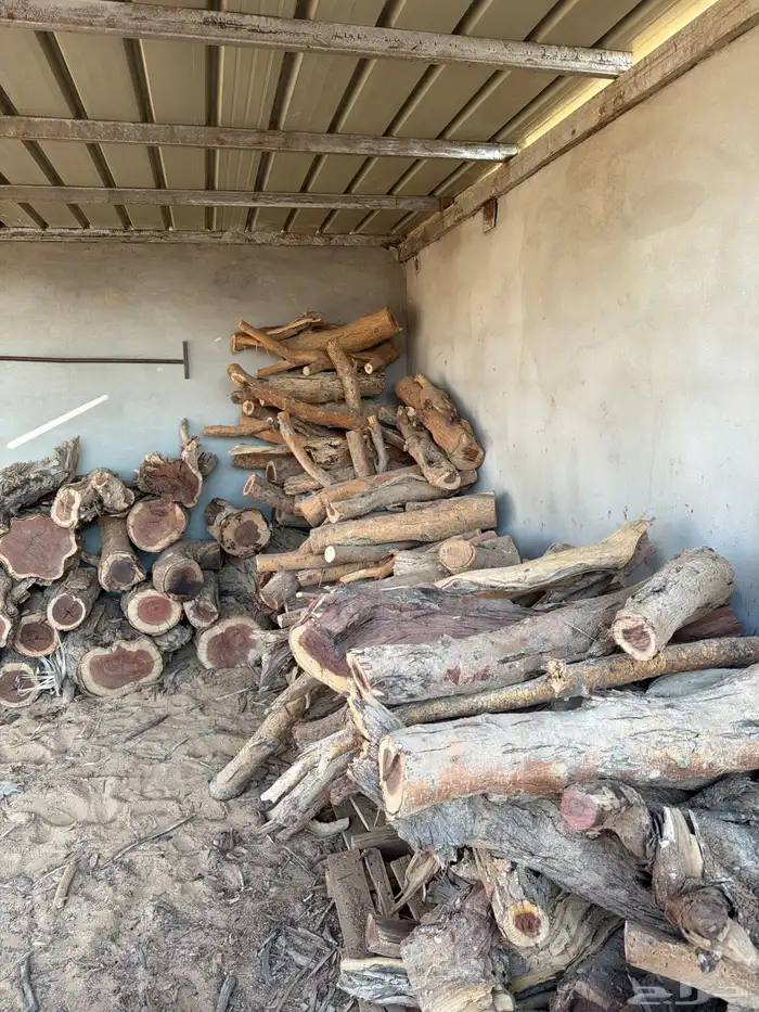 حطب سمر شرط 1