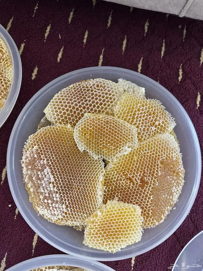 عسل سدر لهذا العام تاريخ1447 5 18 1