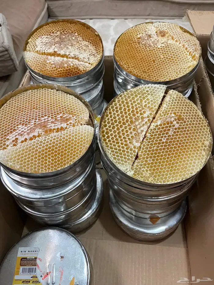 عسل سدر شبواني 0