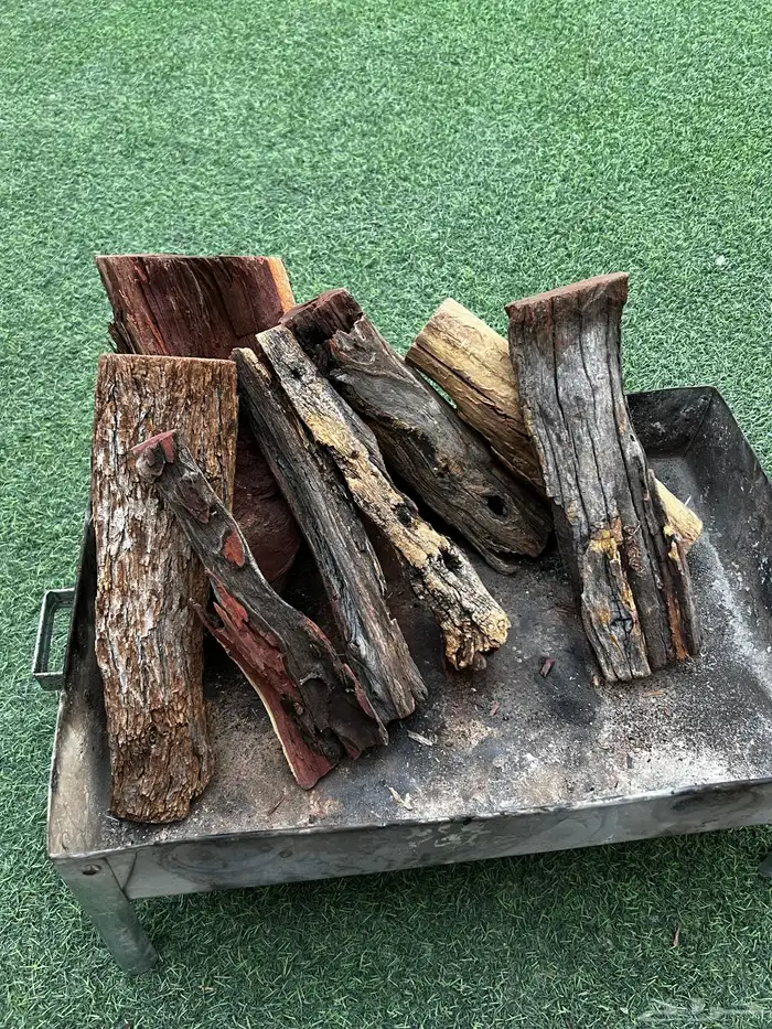 حطب سمر أفريقي أفريقي 3