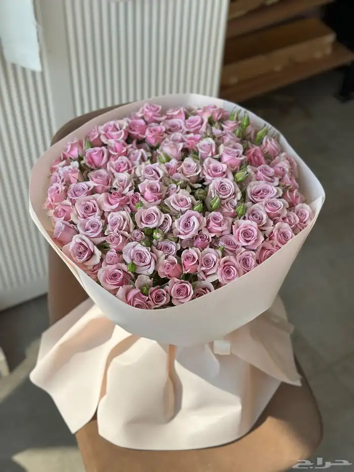 مندوب ورد الجبيل الصناعيه 11