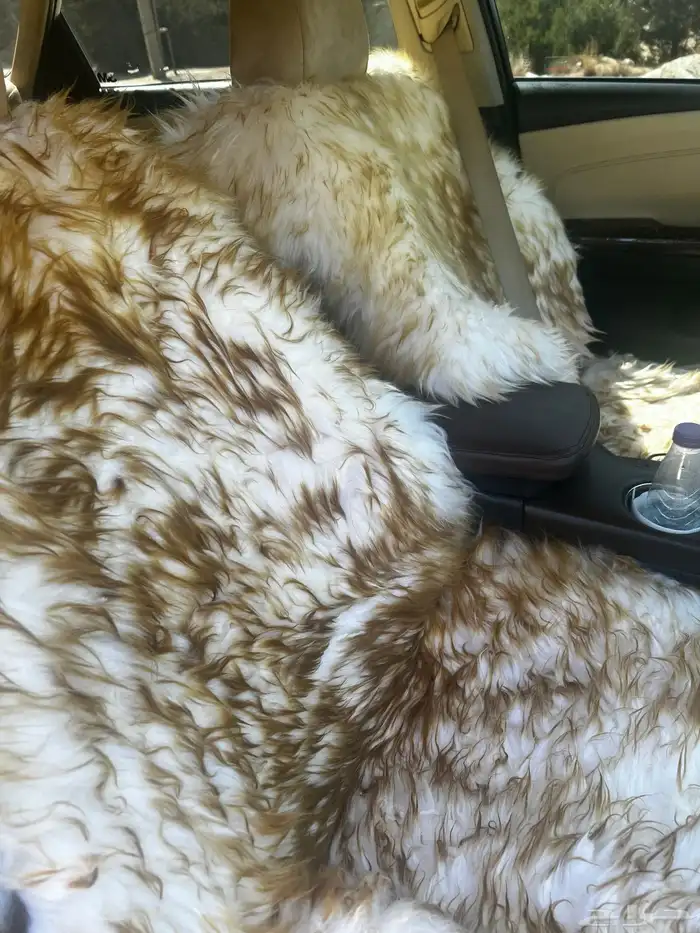 افالون 2016 نصف فل نظيف 10