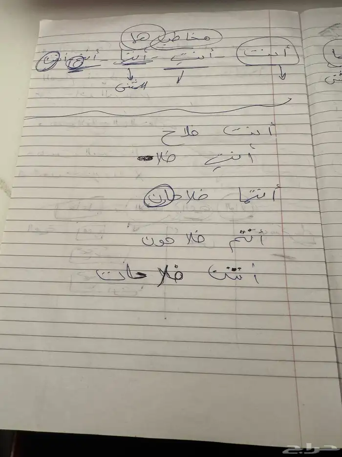 مدرسه خصوصيه ف خميس مشيط 12