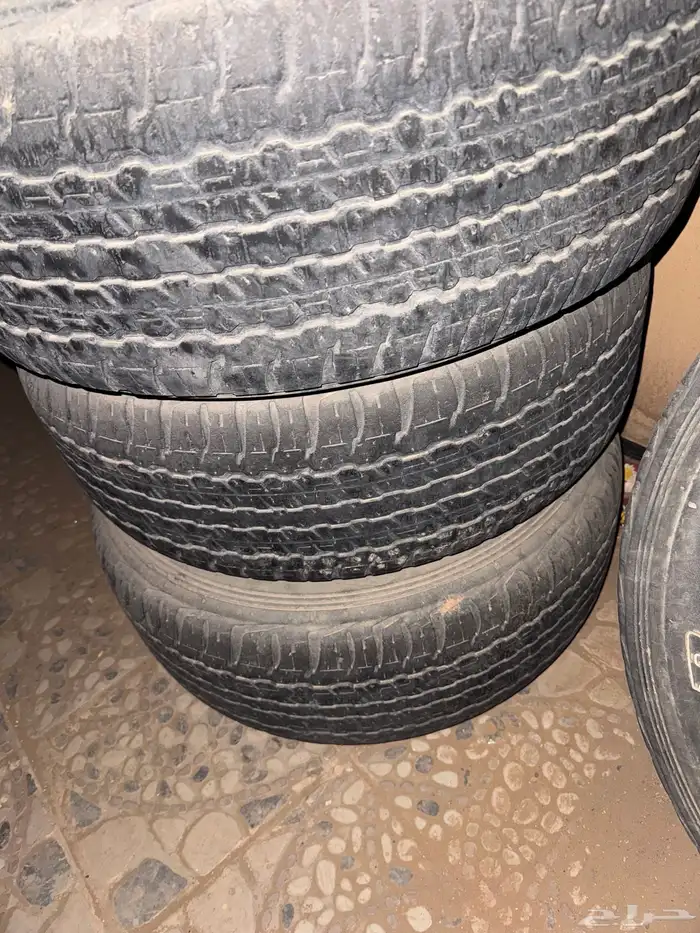 جنوط ربع للبيع 1