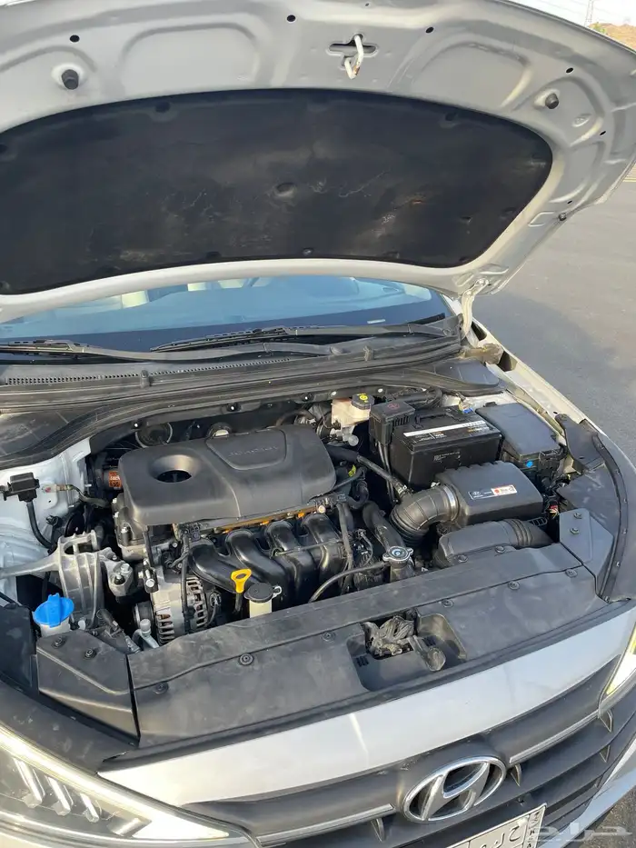 النترا 2019 سعوديه 9