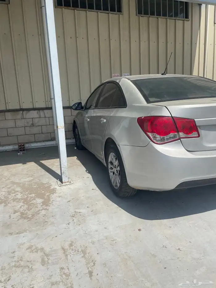 شفوراليه كروز 1