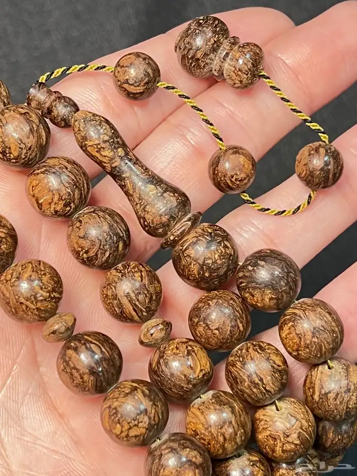 مسباح قرفه جمبو فواح 1