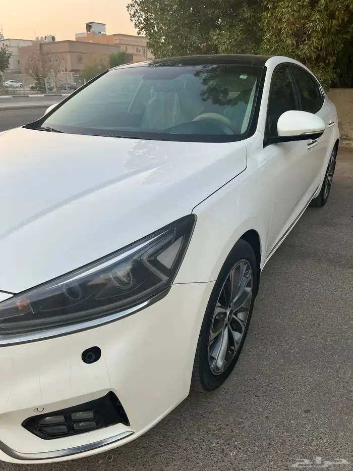 كادينزا فل 2017 6