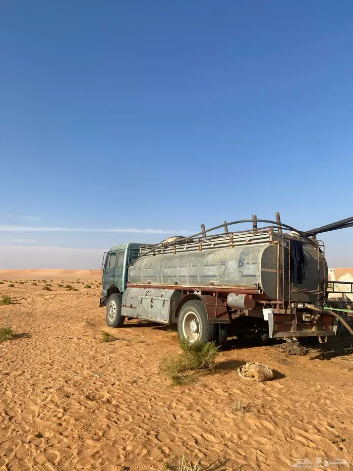 ابل للبيع 25