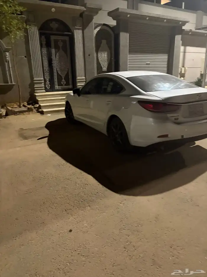 خبير سياحي بالمنطقه توصيل ضبا نيوم واستقبال كبار الشخصيات 1