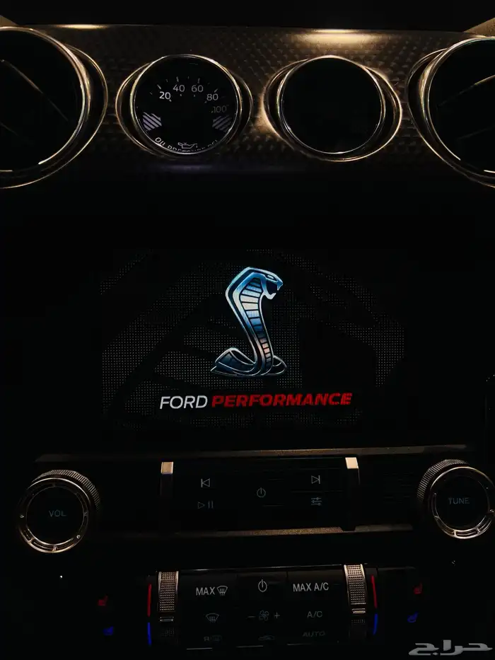 موستنج 2019 بيرفورمنس (بحاله ممتازه) 23