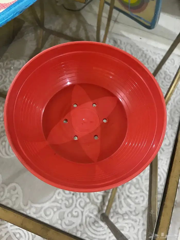 صحون بيض للحمام 0