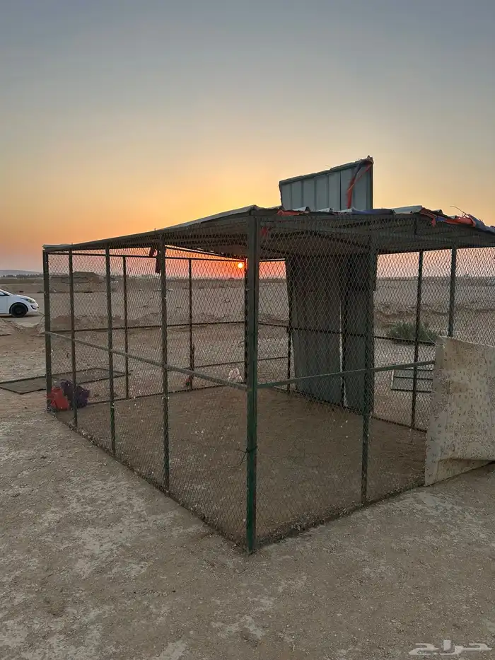 عشه بقلاوه ضرما 0