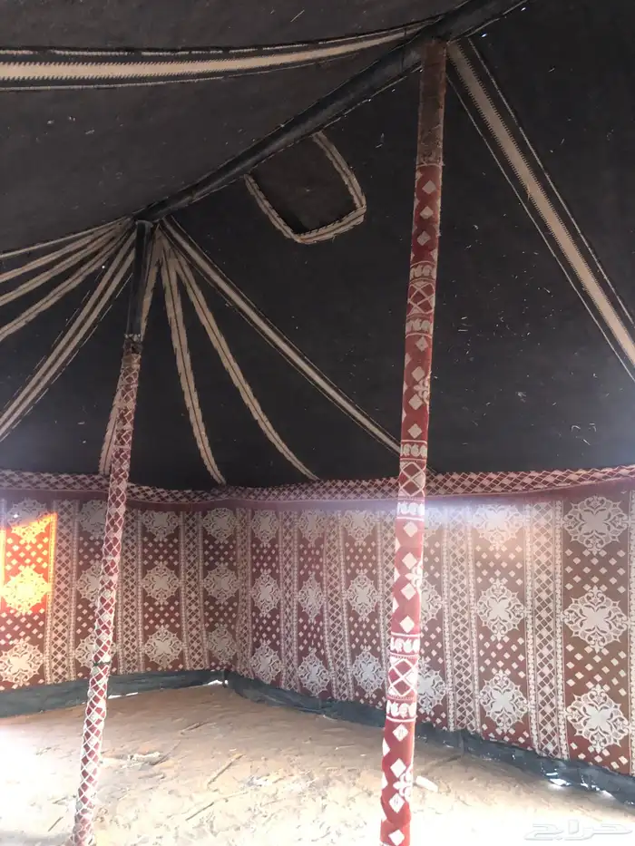 بينت مستخدم 6 في   14 تقريب ا 2