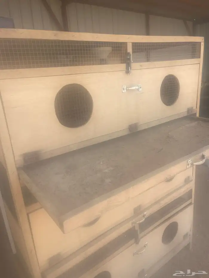 فقاسه 1056 بيضه فل تماتيك   حضانه 5