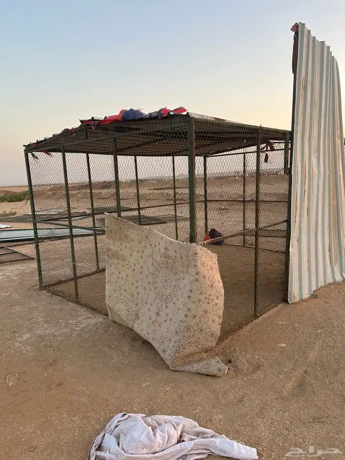 عشه بقلاوه ضرما 1