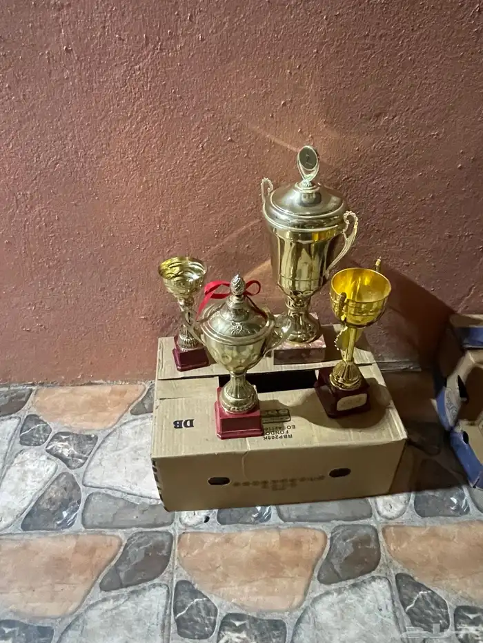 كوؤس بطولة جديدة 1