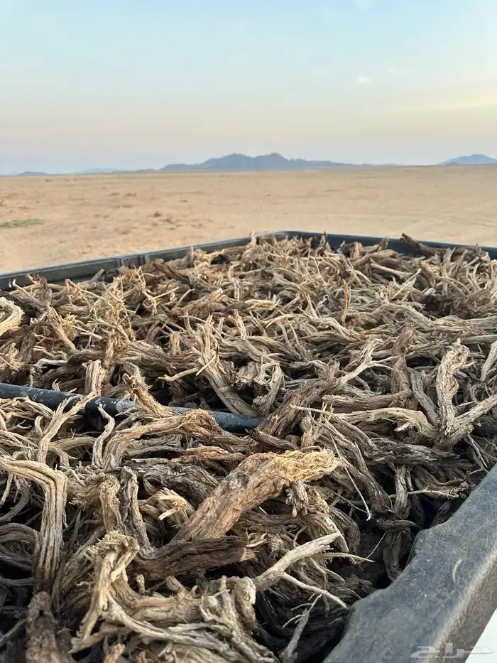 حطب أفريقي مستورد تواصل خاص 0