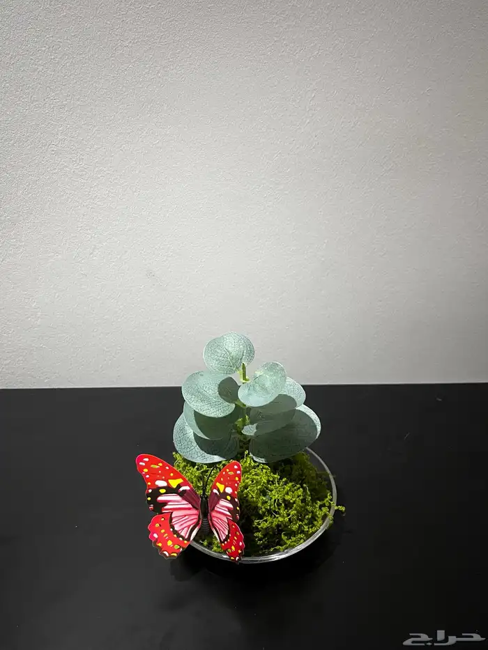 كل الي معروض للبيع 4