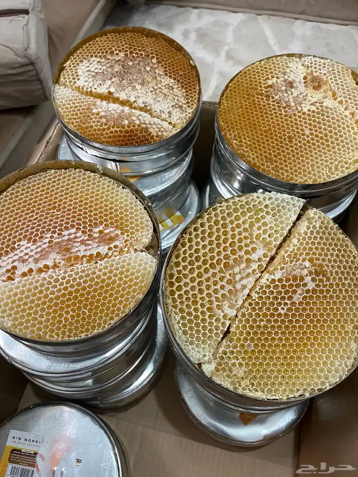 عسل سدر شبواني 1