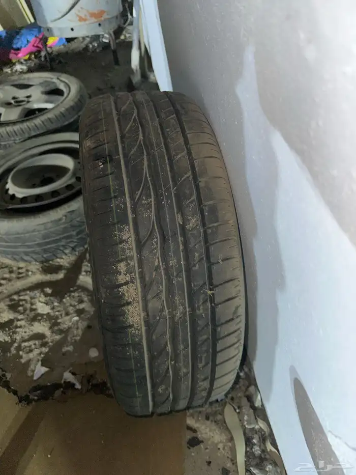 استبنة كوريلا 2015 بلد 3