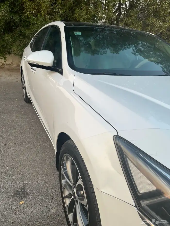 كادينزا فل 2017 3