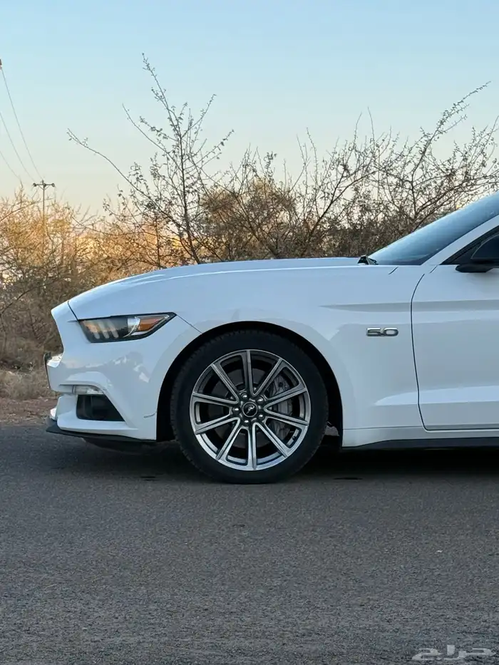 للبيع موستنج 2015 26