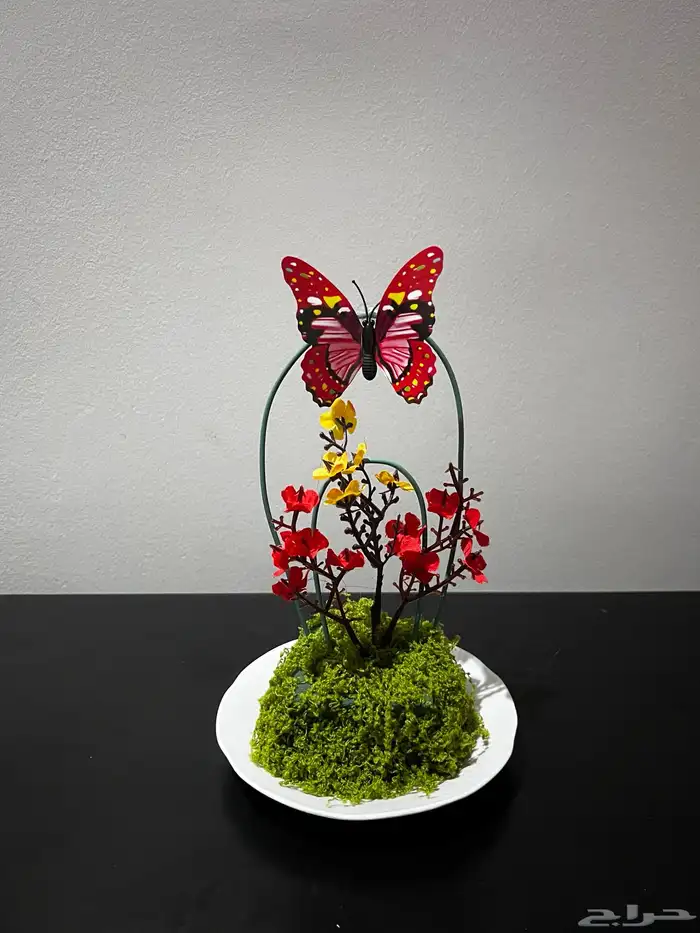 كل الي معروض للبيع 3