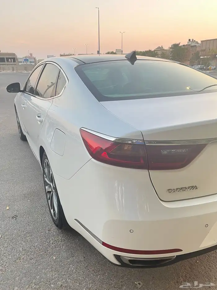 كادينزا فل 2017 5