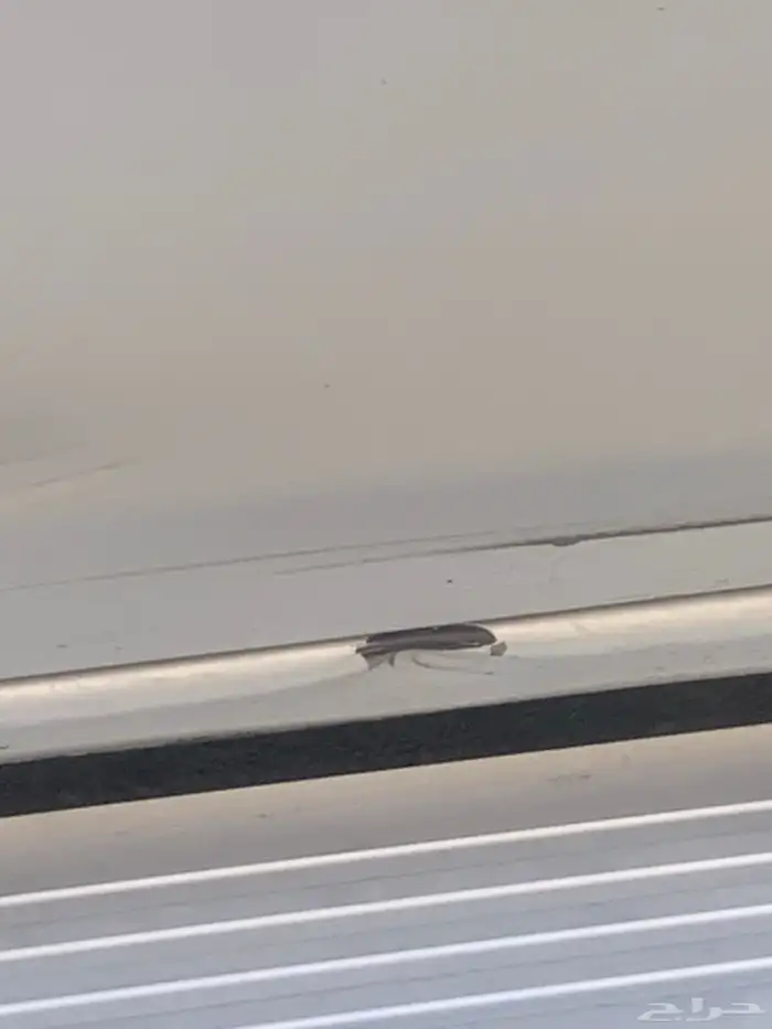 جيب ربع فتك 2004للبيع 8