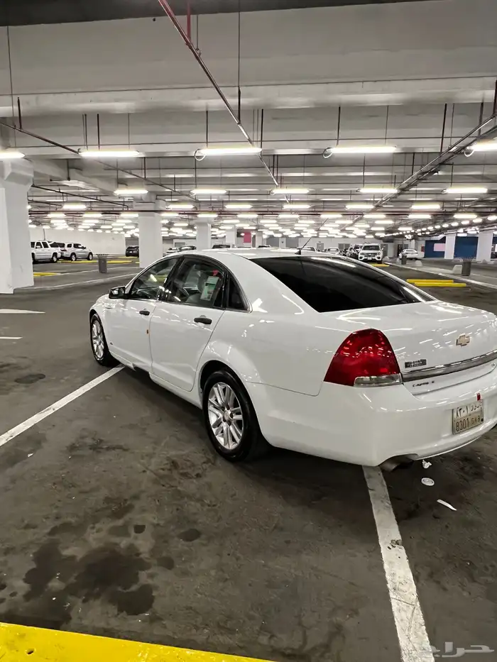 كابرس 2013 LS 11