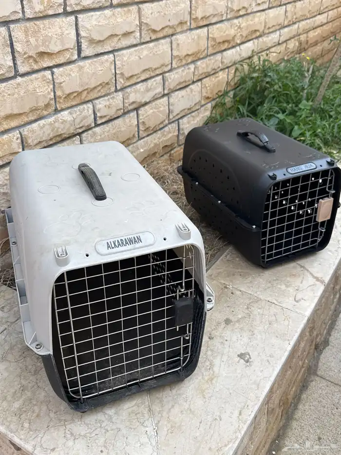 صندوق نقل قطط قطة قفص 0