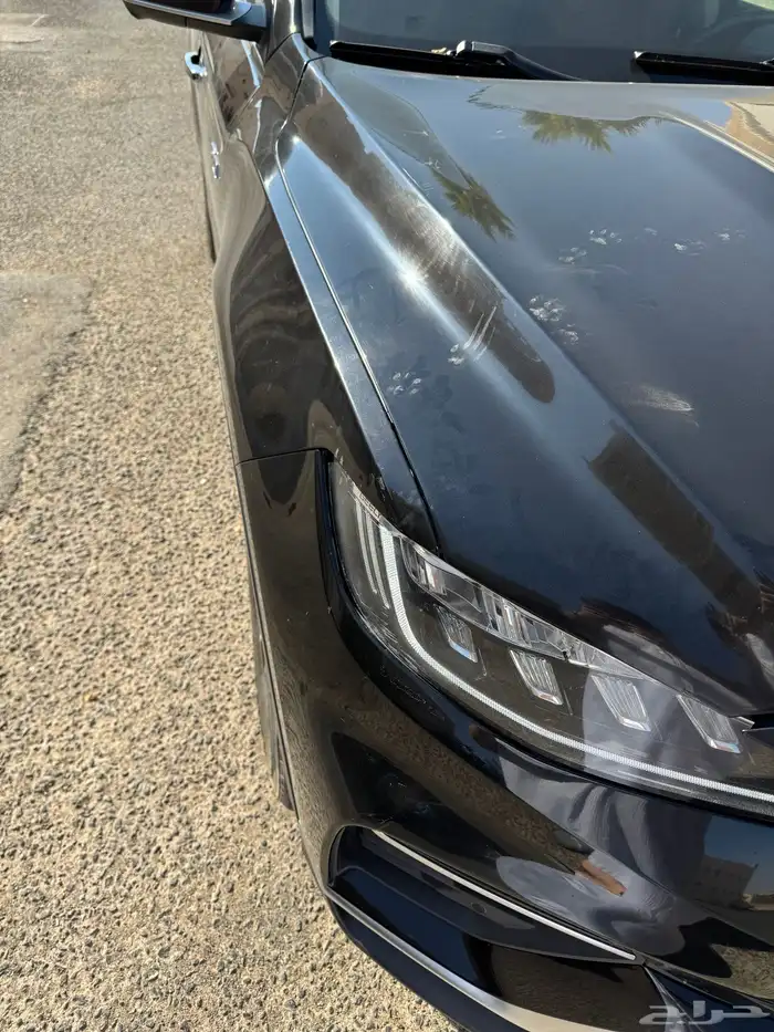 جيلي ازكارا 2021 3