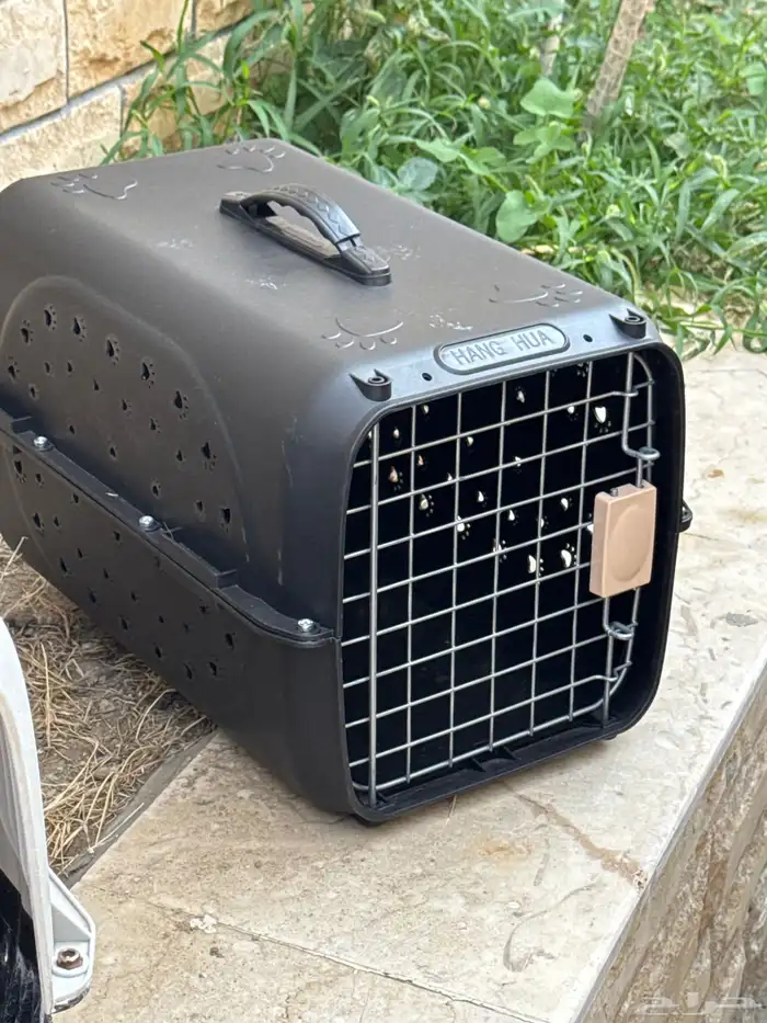 صندوق نقل قطط قطة قفص 1