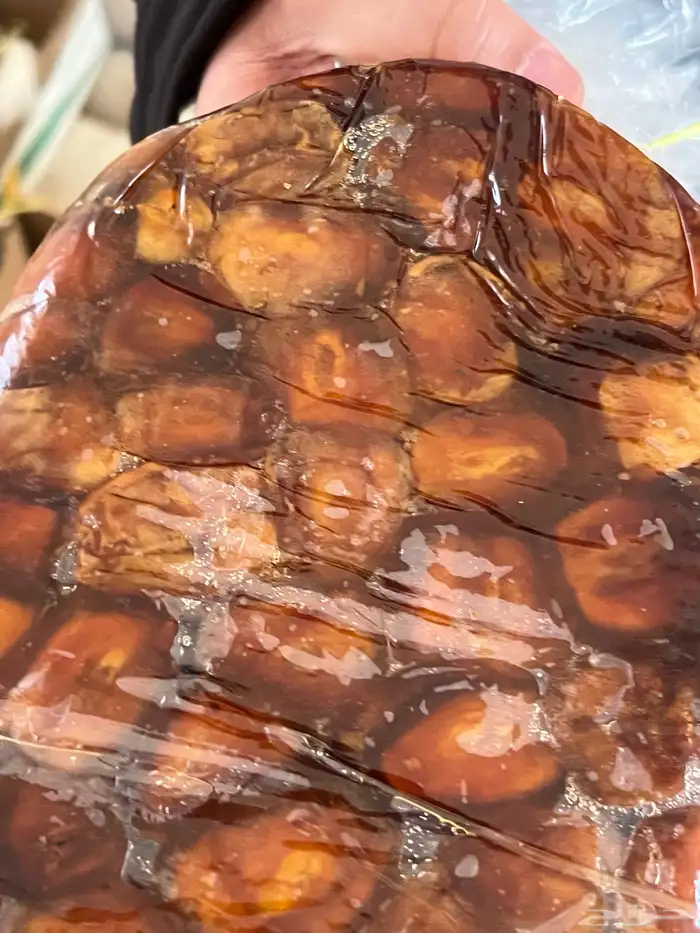 تمر سكري فاخر 1