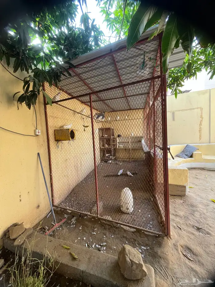 شبك قفص للبيع كيير 1