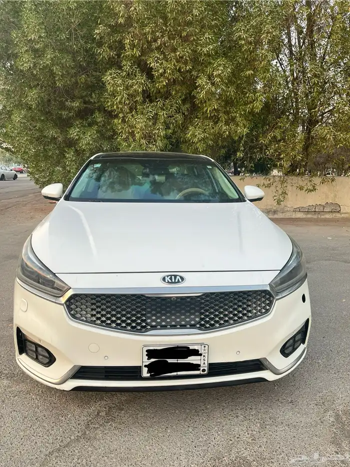 كادينزا فل 2017 0