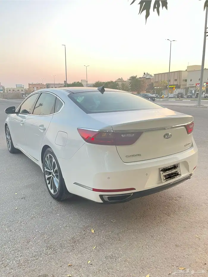 كادينزا فل 2017 2