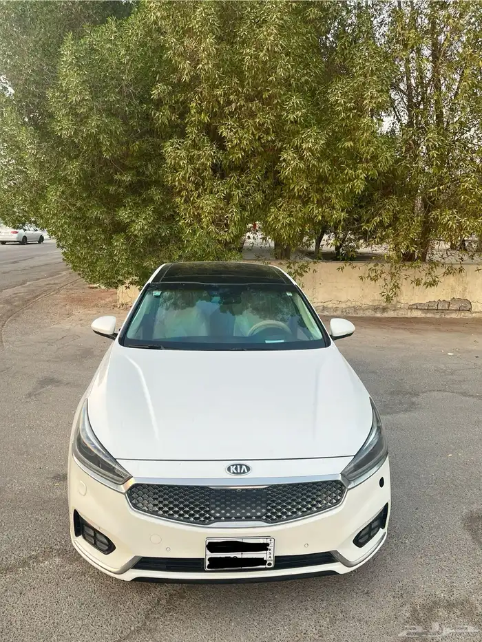 كادينزا فل 2017 11