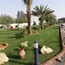 تيل طبيعي وشبكات الري 9