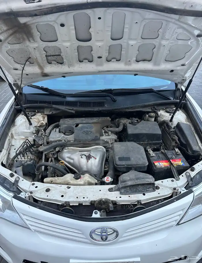 كامري ستاندر 20