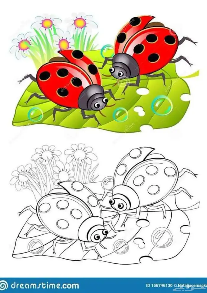 دفتر تلوين اطفال   وانشطه جاهزه لرياض الاطفال 2