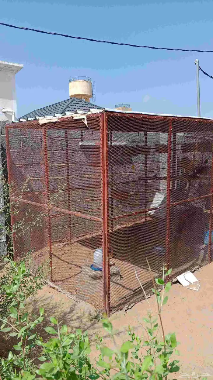 قفص طيور 1