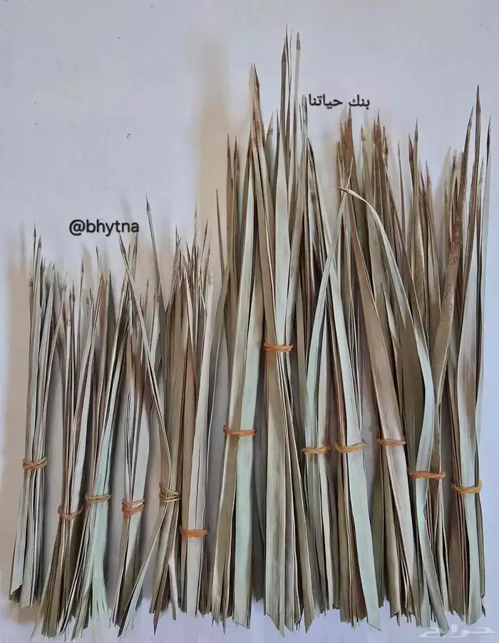 جريد النخيل ( سعف ) 2